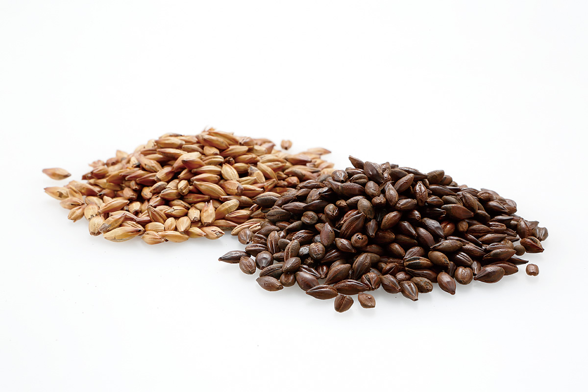 NOKORI - FUKUの地ビール染め